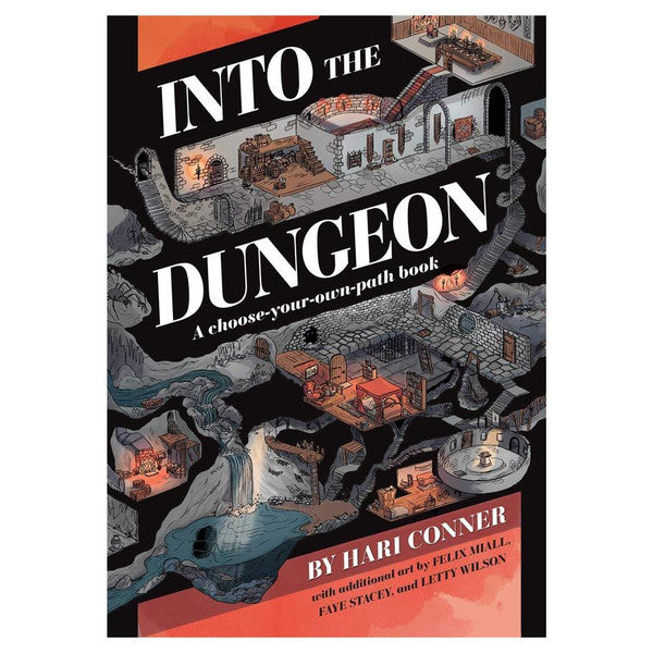 Andrews Mcmeel Publishing Into The Dungeon : A Chooseyourownpath Book By Hari Co