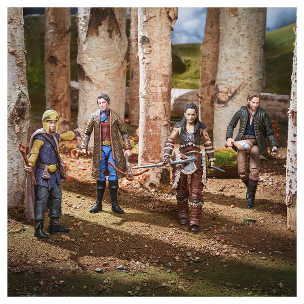 Hasbro D&d 6 Inch Fan Figure Assortment Main image