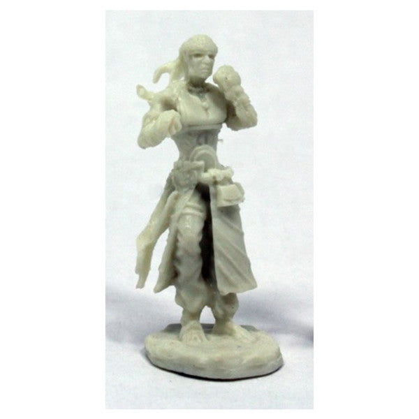 Reaper Miniatures Pathfinder Brotherhood Of The Seal Figure Main image
